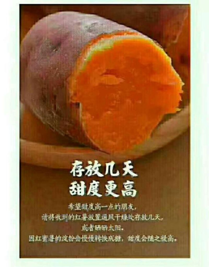 六鰲蜜薯