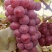 巨峰葡萄5%以下0.8~1斤