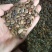 出售软枣子，软枣种子，黑枣种子