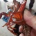 红虾活虾