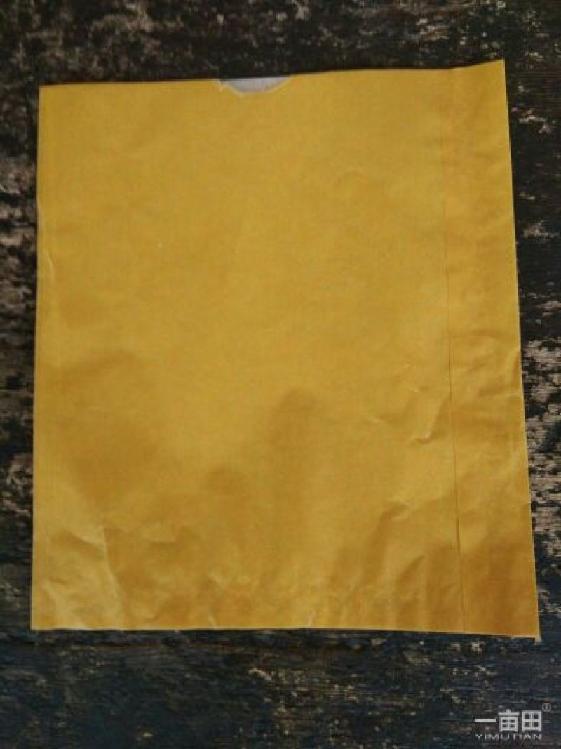 水果套袋中号25*32