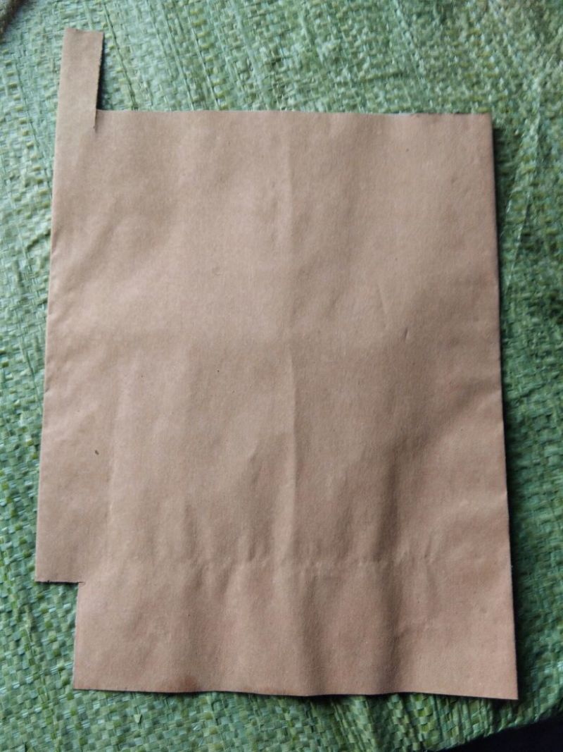 水果套袋中号25*32