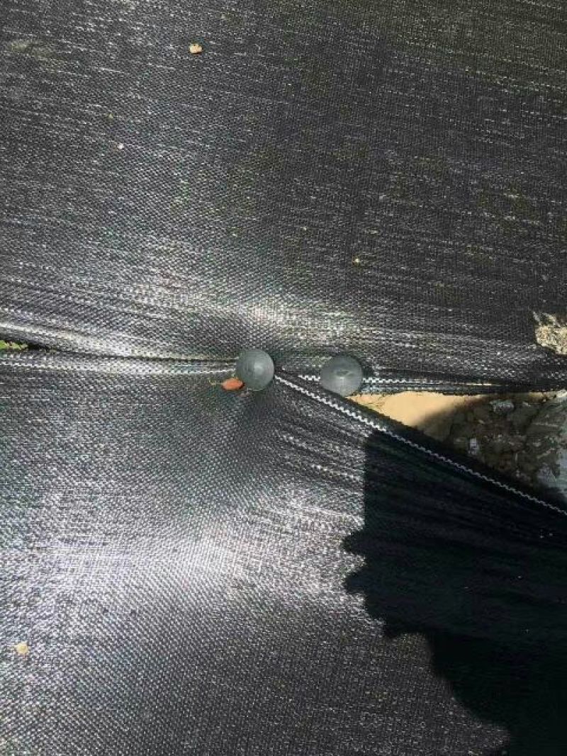 地钉地布钉塑料地钉防虫网钉