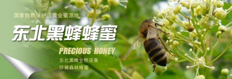蜂蜜1斤