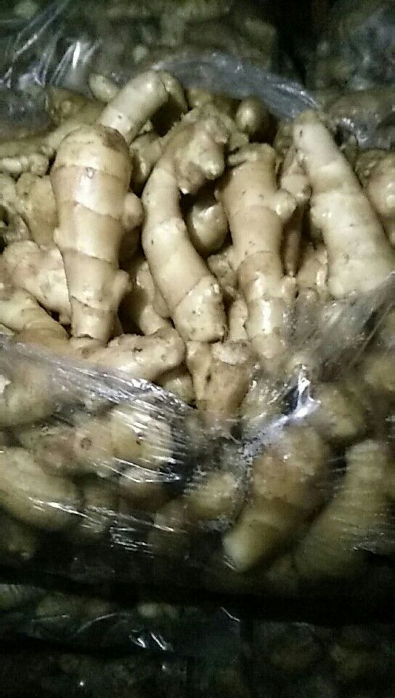 生姜出售姜头1两到四两，水洗，