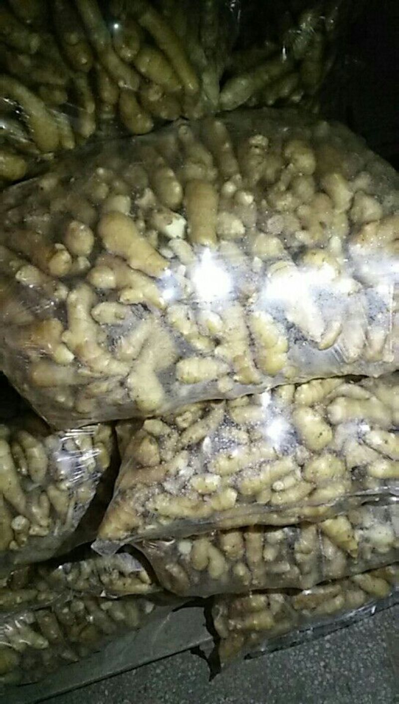 生姜出售姜头1两到四两，水洗，