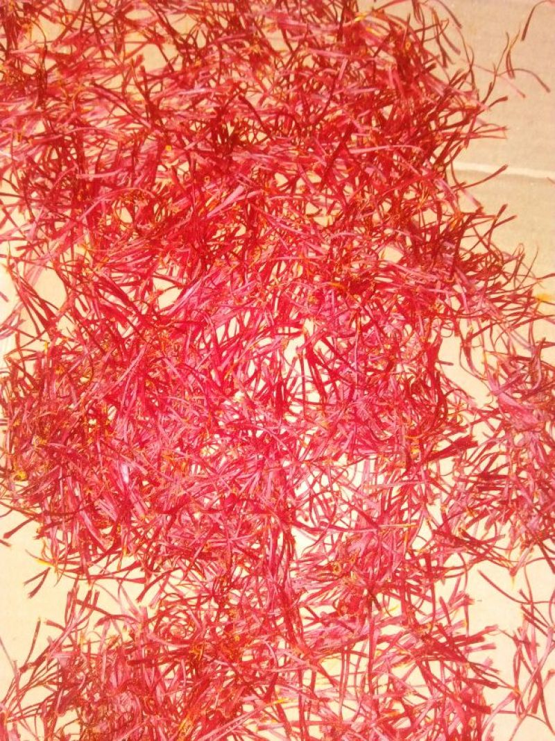 藏红花种球花球