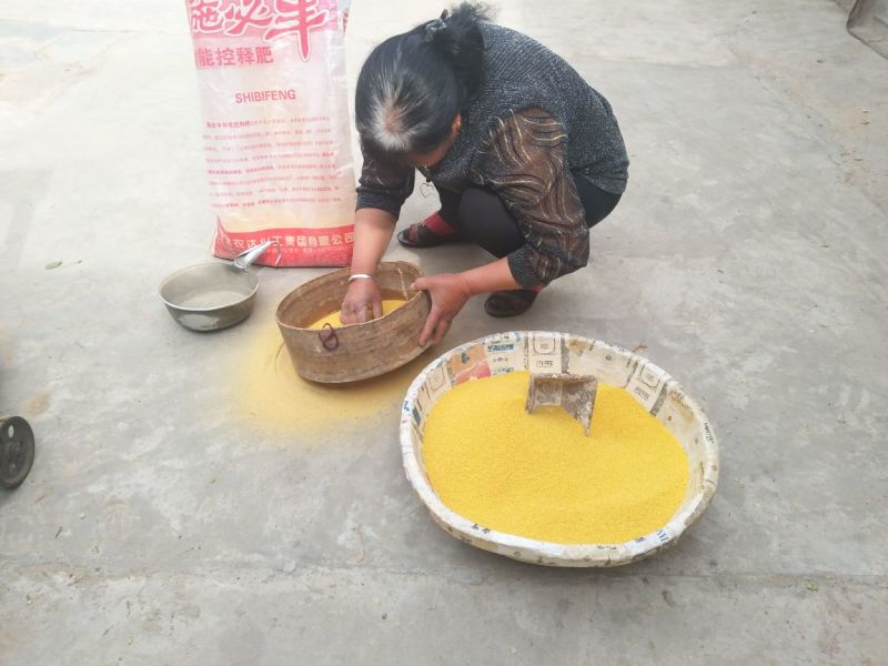 小米散装