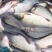 湘云鲫