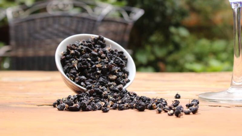黑枸杞头茬干货
