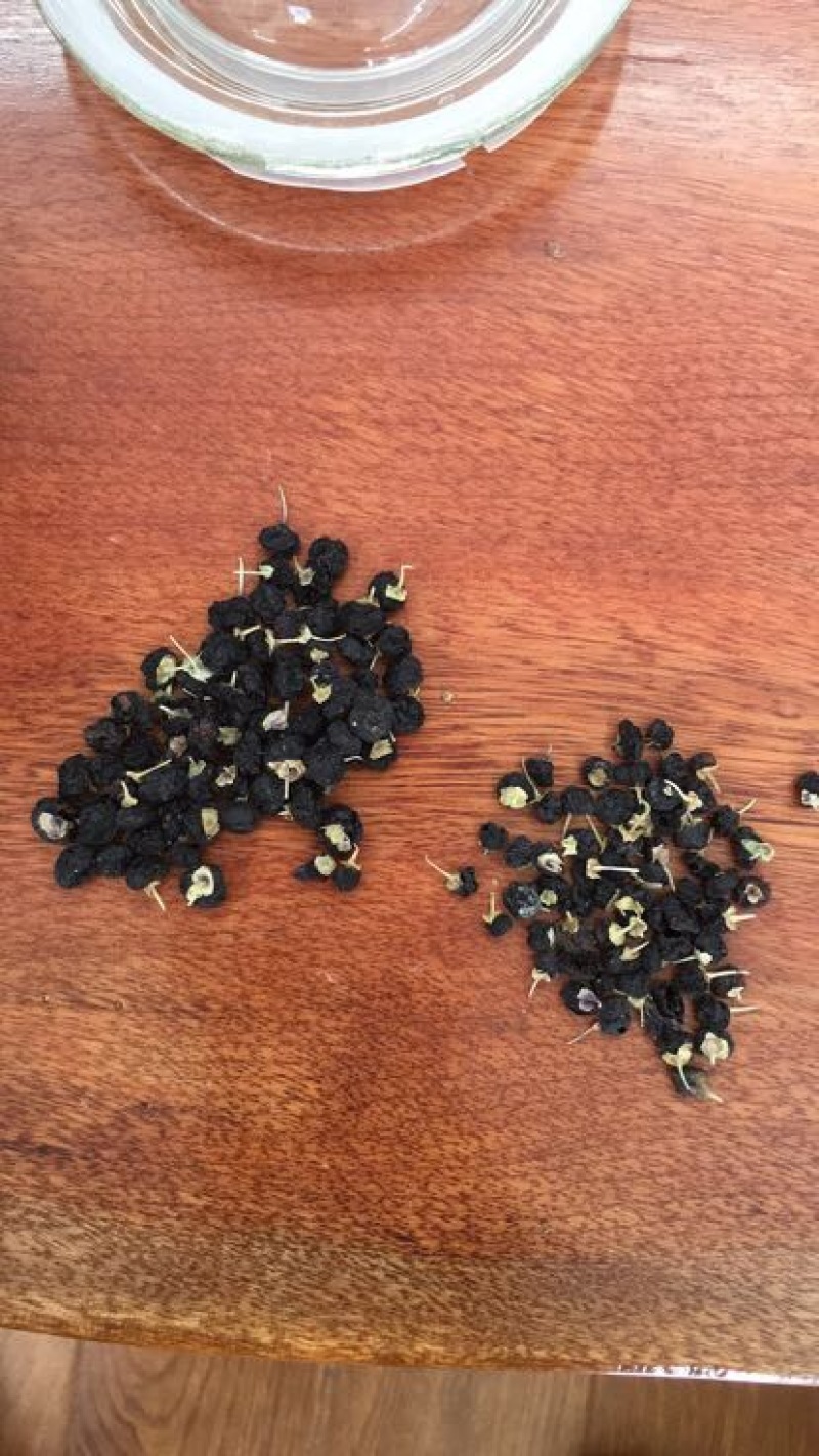 黑枸杞头茬干货