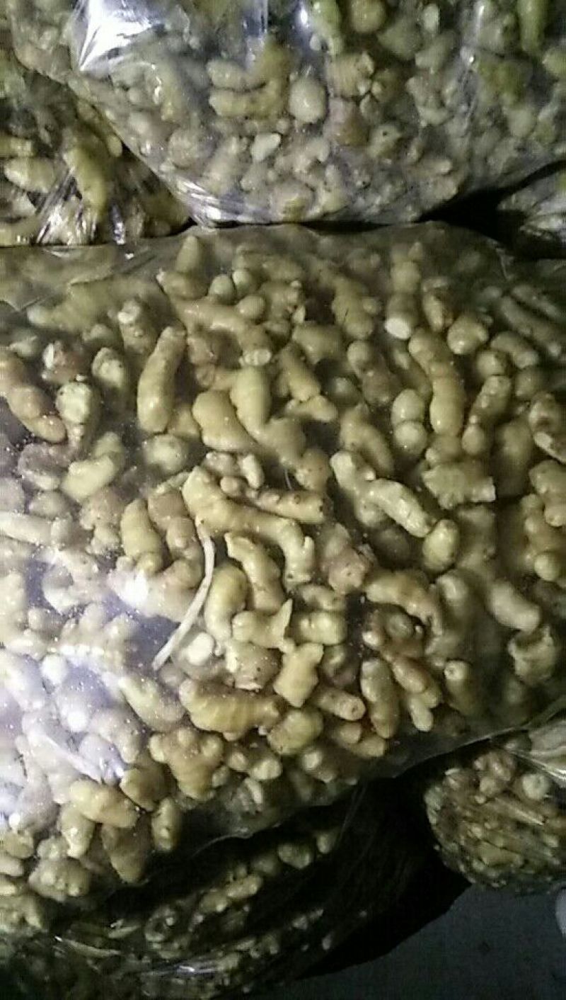 生姜出售姜头1两到四两，水洗，