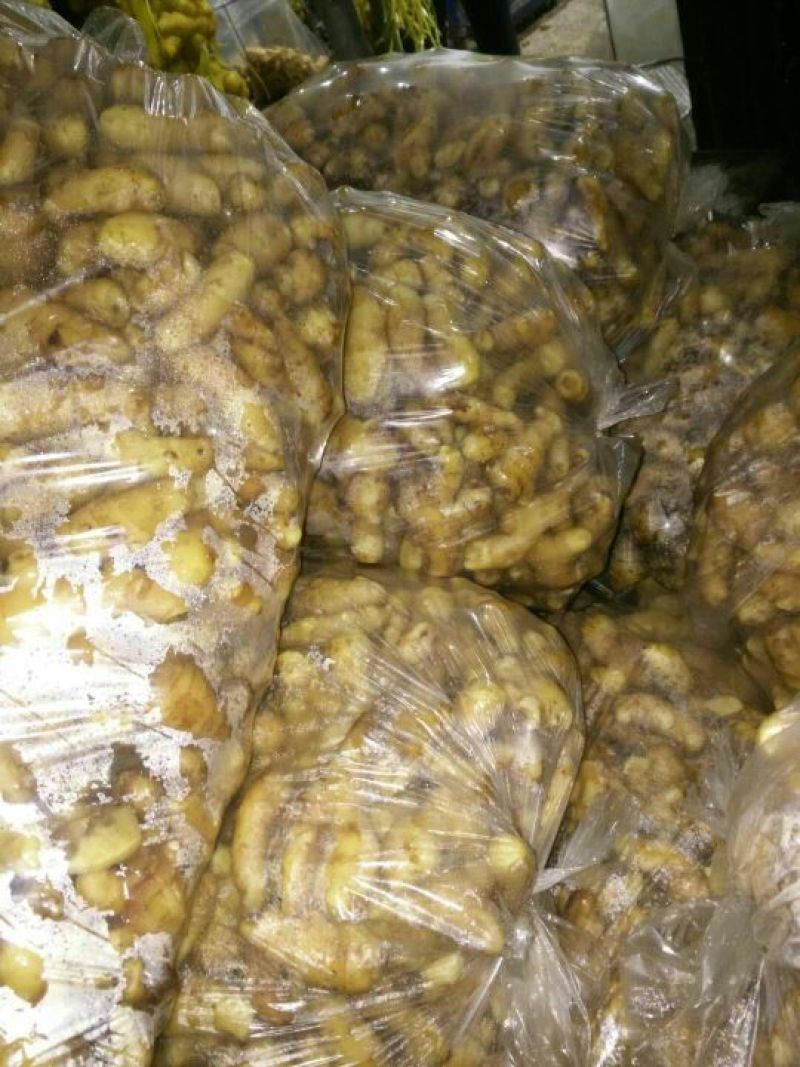 生姜出售姜头1两到四两，水洗，
