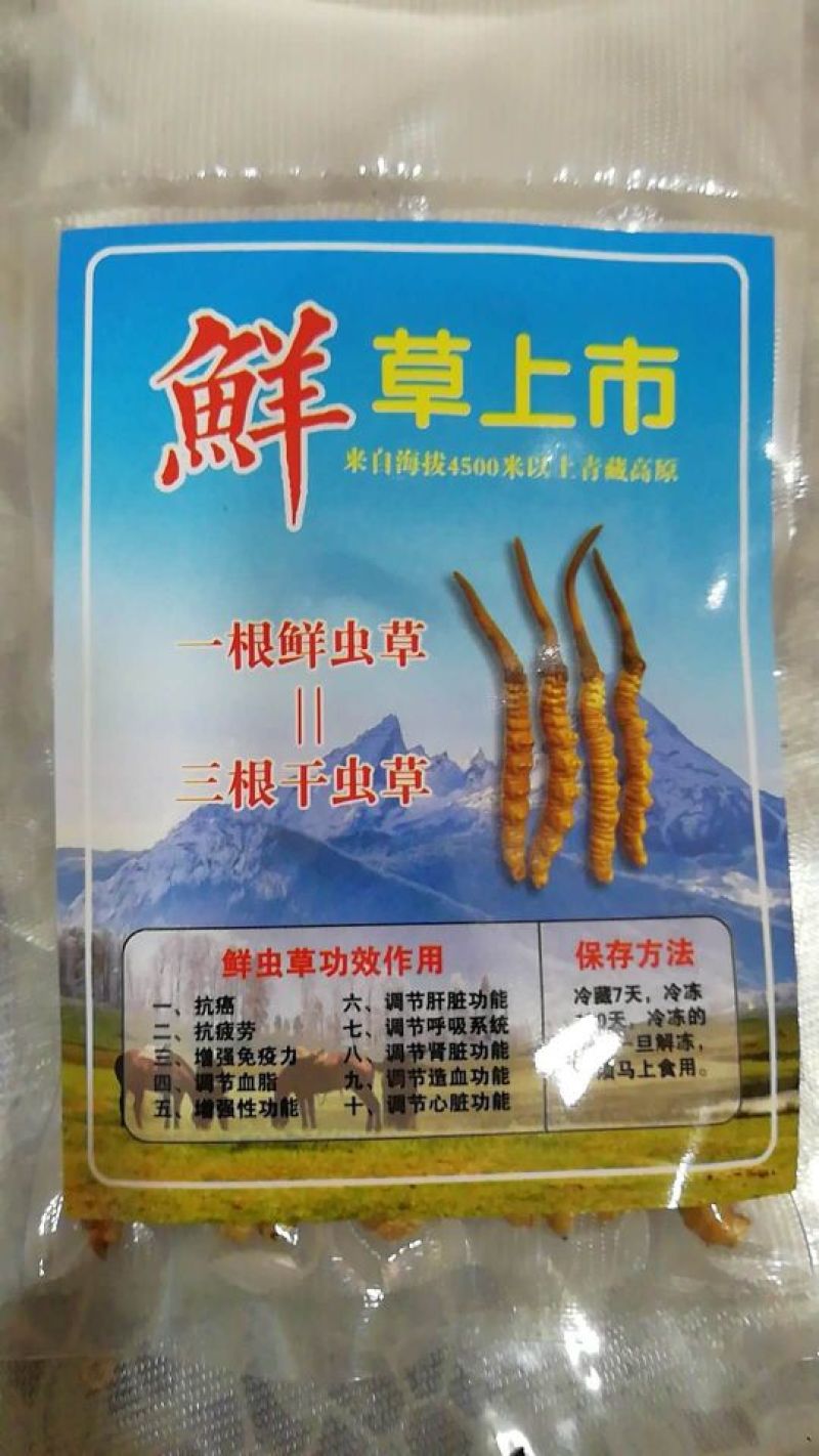 冬虫夏草袋装