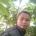 长果桑树苗80~100cm