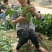 长果桑树苗80~100cm