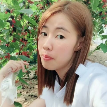 果桑苗四季大果桑苗长果桑苗大十果桑苗