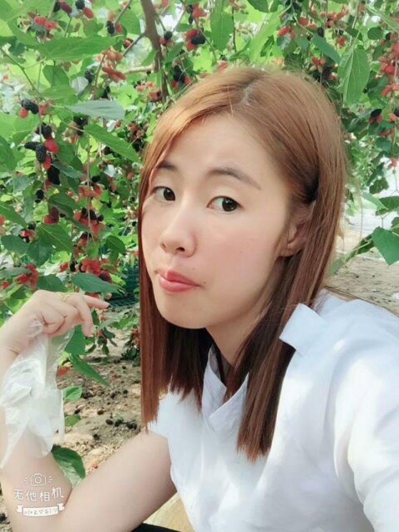 果桑苗四季大果桑苗长果桑苗大十果桑苗