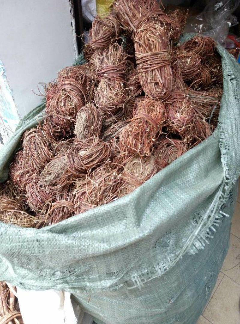 鸡骨草广西小扎把鸡骨草