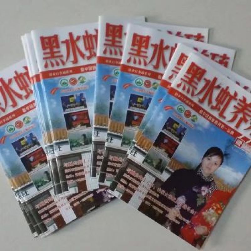 黑水虻卵，金虻10号