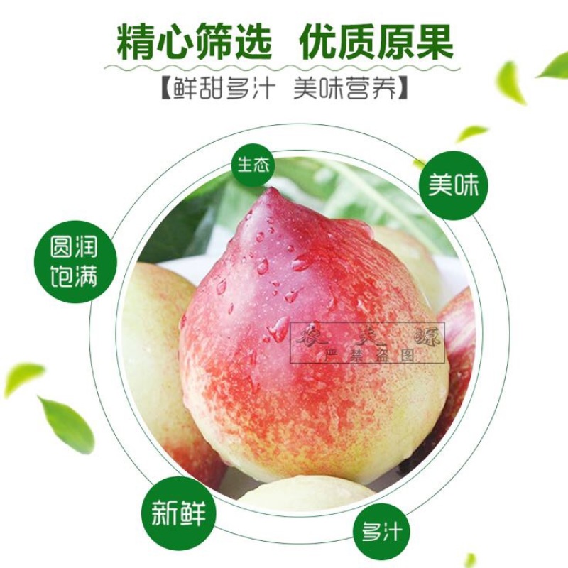 油桃大凉山新鲜油桃味道足甜度高每日供应量大