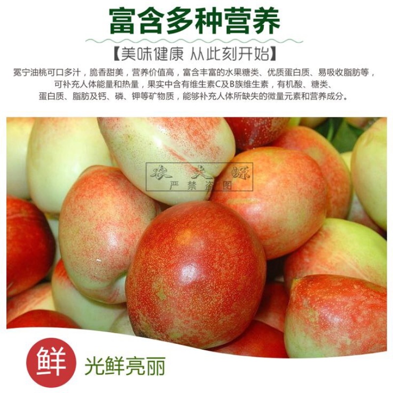 油桃大凉山新鲜油桃味道足甜度高每日供应量大