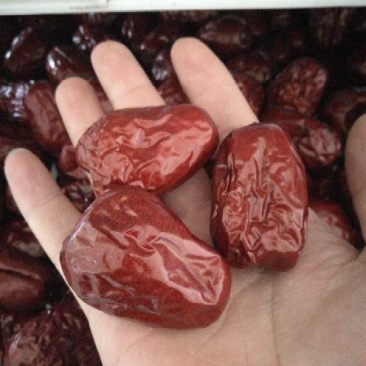 红枣一级干枣