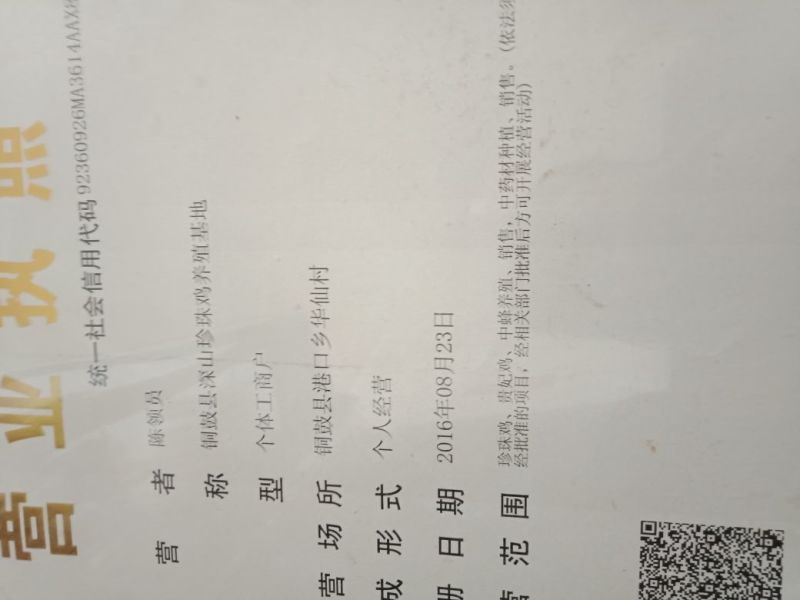 杜仲皮深山生长30年以上树龄【1：通货2:选货3:优质】