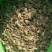 禽畜粪便大量出售价格优惠