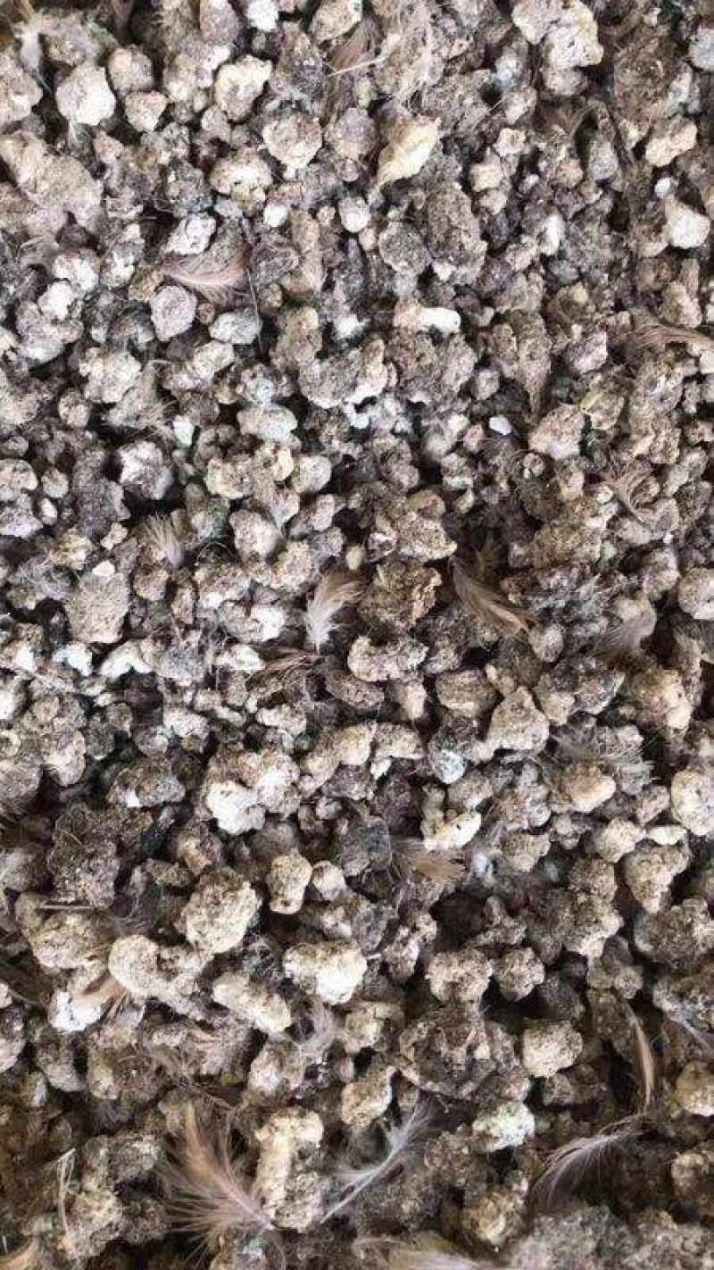 禽畜粪便大量出售价格优惠