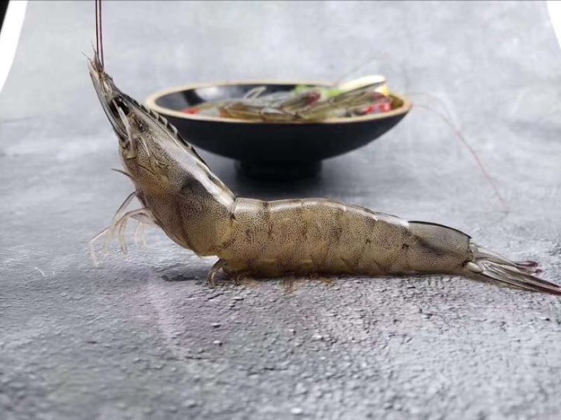 白米虾