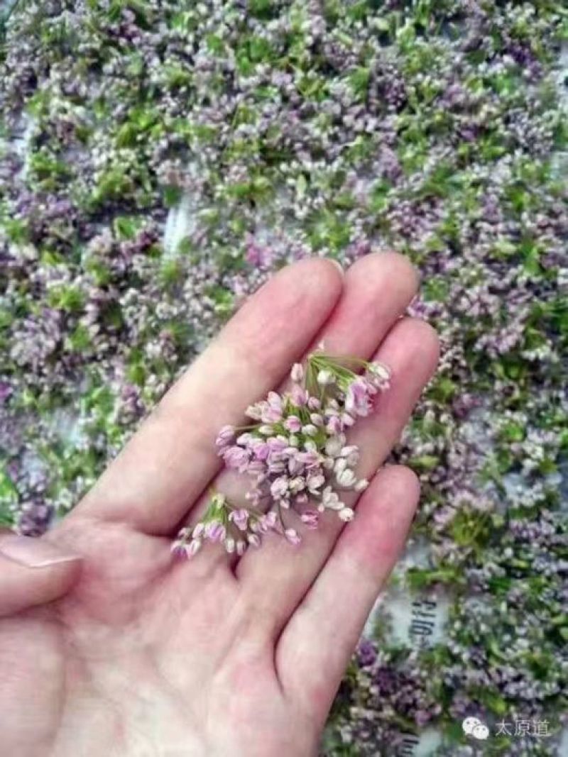 麻麻花干货
