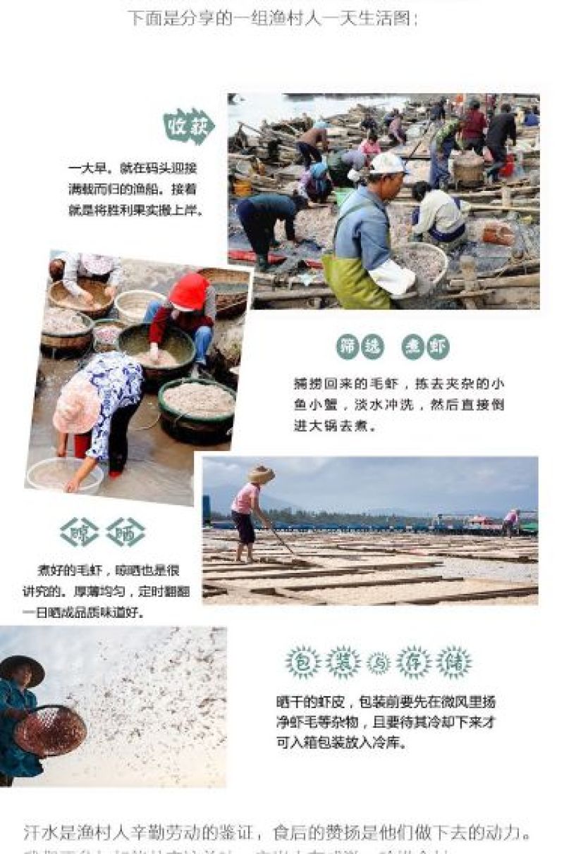 迷你小虾皮淡干无盐宝宝辅食一件代发