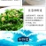 迷你小虾皮淡干无盐宝宝辅食一件代发