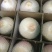 椰青3~4斤去皮椰青一箱9个装批发零售