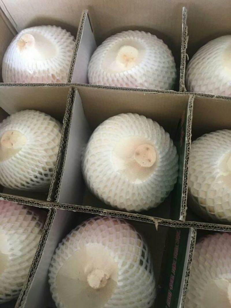 椰青3~4斤去皮椰青一箱9个装批发零售