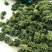 文山三七花干货鲜无柄250克一斤包邮