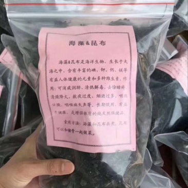 黑藻海藻