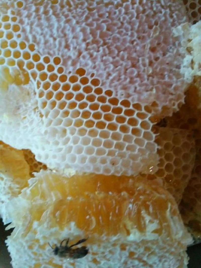 蜜蜂房