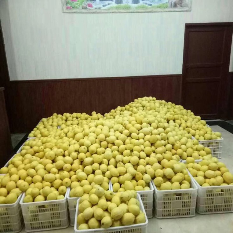 柠檬2.7~3.2两