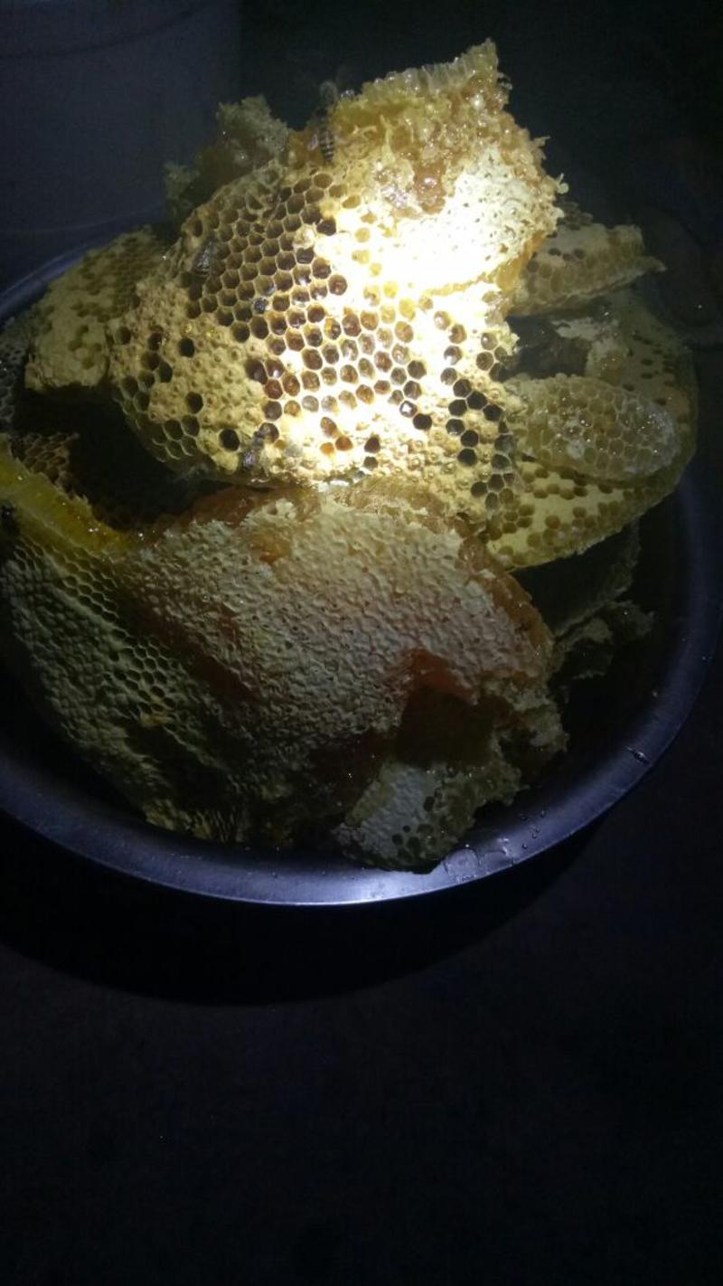 土蜂蜜1斤