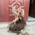 映山红树桩20~25cm
