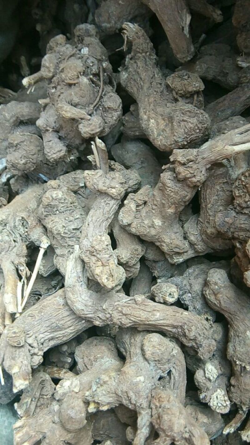 二年的白术小统装