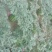 甜王西瓜6斤打底9成熟1茬