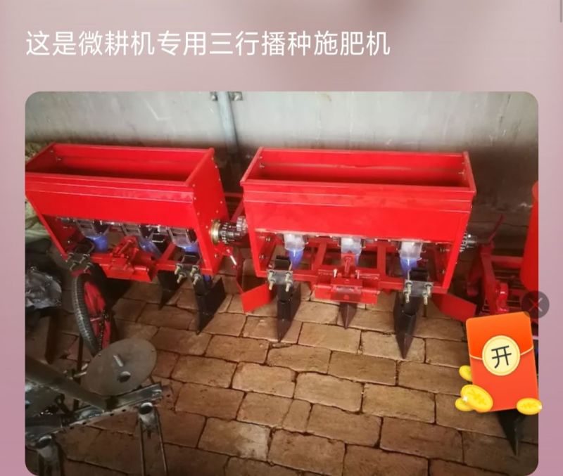 板蓝根种子85%以上