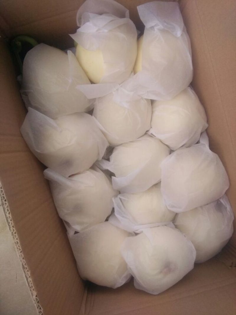 白甜瓜，产地供应，皮薄，含糖量高，大量上市，1茬