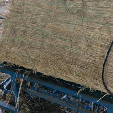 草帘