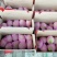 连平县鹰嘴水蜜桃、广东省鹰嘴桃大果3~5两