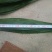 粽叶9cm