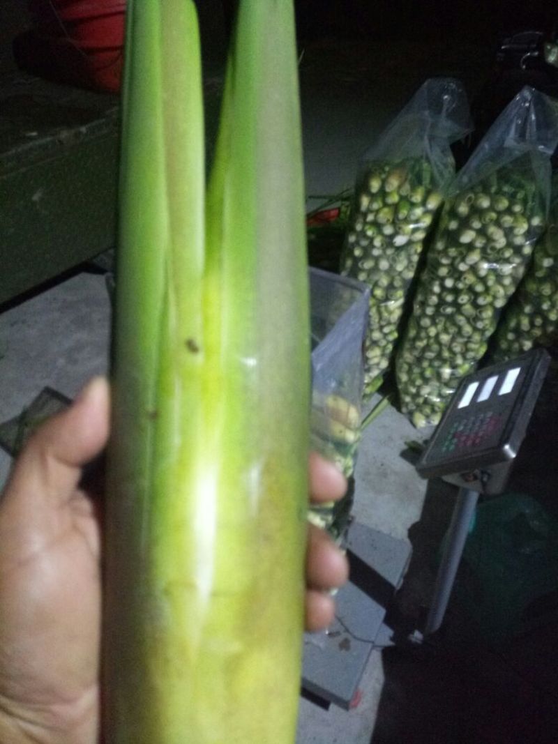 茭白带壳